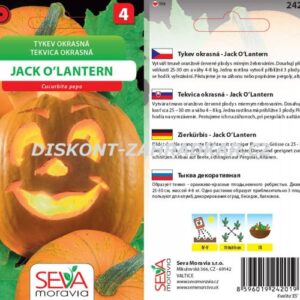 24201/4111 Okrasné tykv. Jack O’Lantern 10s