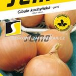 405282/1207 Cibule jarní Dagmar žlutá 2,5g