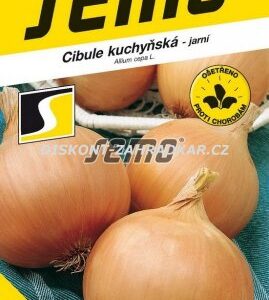 405282/1207 Cibule jarní Dagmar žlutá 2,5g