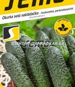 423382/2101 Okurka nakl. Dafne F1 1,5g