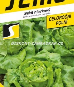 438342/3406 Salát hlávkový Saturion celoroční 0,6g