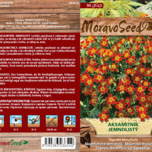 Aksamitník jemnolistý – Tagetes tenuifolia – červený | Hnojík.CZ