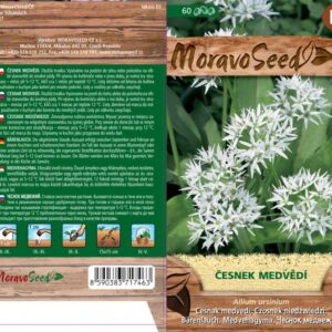 Česnek medvědí – Allium ursinum | Hnojík.CZ