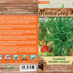 Estragon – Artemisia dracunculus | Hnojík.CZ
