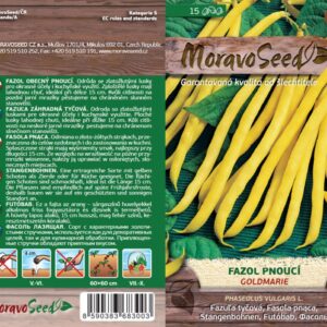 Fazol pnoucí – Phaseolus vulgaris – GOLDMARIE – žlutý | Hnojík.CZ