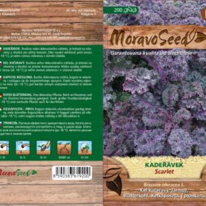 Kadeřávek červený – Brassica oleracea L. – SCARLET | Hnojík.CZ