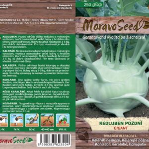 Kedluben pozdní – Brassica oleracea – GIGANT – bílý | Hnojík.CZ