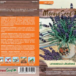 Levandule lékařská – Lavandula angustifolia | Hnojík.CZ