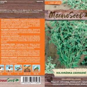 Majoránka zahradní – Origanum majorana | Hnojík.CZ