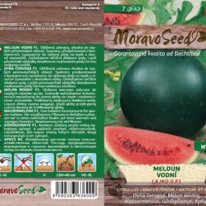 Meloun vodní – Citrullus lanatus – LAJKO II F1 | Hnojík.CZ