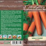 Mrkev pozdní – Daucus carota L. – DARINA | Hnojík.CZ