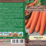 Mrkev raná – Daucus carota L. – ANETA F1 | Hnojík.CZ