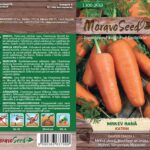 Mrkev raná – Daucus carota L. – (Chantenay) – KATRIN | Hnojík.CZ