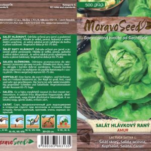 Salát hlávkový jarní a podzimní – Lactuca sativa – AMUR | Hnojík.CZ