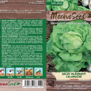 Salát hlávkový – Lactuca sativa – CASSINI – letní | Hnojík.CZ