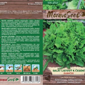 Salát listový k česání – Lactuca sativa – DUBÁČEK – zelený | Hnojík.CZ