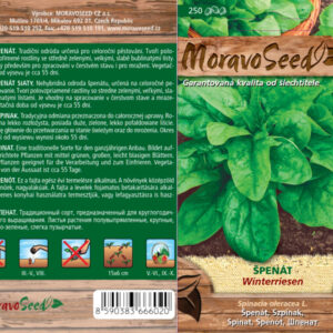 Špenát setý – Spinacia oleracea – WINTERRIESEN | Hnojík.CZ